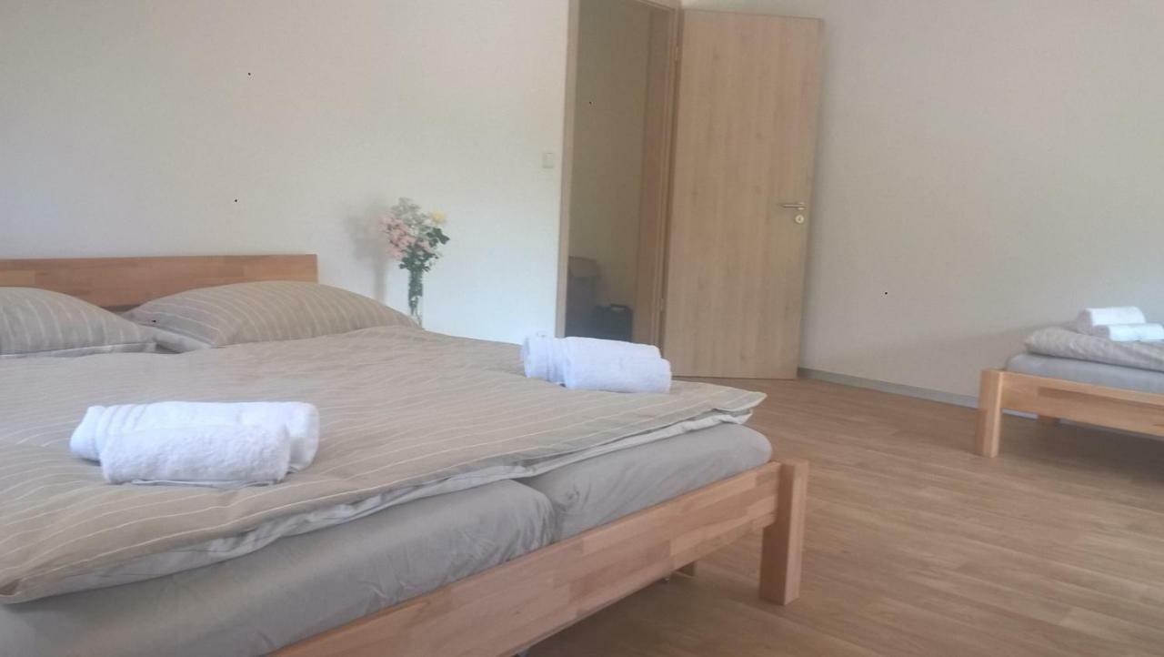 Říčky Apartman Nad Terasou מראה חיצוני תמונה