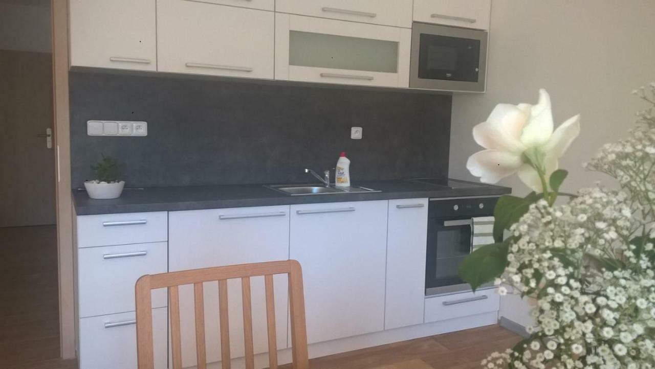 Říčky Apartman Nad Terasou מראה חיצוני תמונה